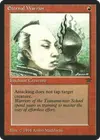 Product image for Guerrier éternel