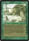 Product image for Giant Turtle
