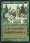 Product image for Master of the Hunt