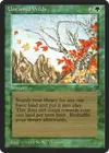 Product image for Untamed Wilds