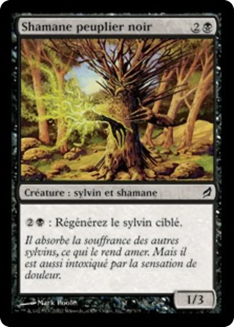 Shamane peuplier noir — Lorwyn — Magic: The Gathering