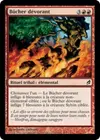 Product image for Bûcher dévorant