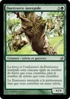 Product image for Durécorce intrépide