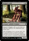Product image for Boggart exilé
