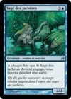 Product image for Sage des jachères