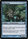 Product image for Fallowsage