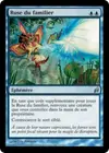 Product image for Ruse du familier