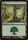 Product image for Forest