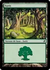 Product image for Forêt