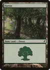 Product image for Forest