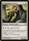 Product image for Goldmeadow Harrier