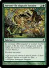 Product image for Arroser de digitale lunaire