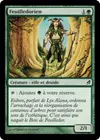 Product image for Feuilledorien