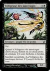 Product image for Voltigeuse des marécages