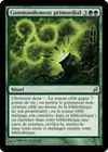 Product image for Commandement primordial