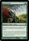 Product image for Lutteracine