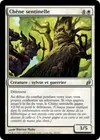 Product image for Chêne sentinelle
