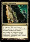 Product image for Grotte chatoyante