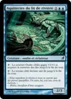 Product image for Aquitectes du lit de rivière