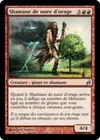 Product image for Shamane de nuée d'orage