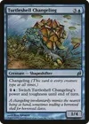 Product image for Turtleshell Changeling