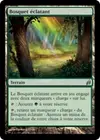 Product image for Bosquet éclatant