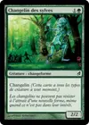 Product image for Changelin des sylves