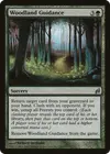 Product image for Woodland Guidance
