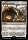 Product image for Landes cendreuses