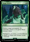 Product image for Beast Within