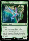 Product image for Birds of Paradise