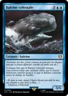 Product image for Baleine colossale