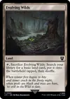 Product image for Evolving Wilds