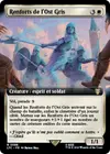 Product image for Renforts de l'Ost Gris