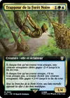 Product image for Trappeur de la Forêt Noire