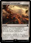 Product image for Immensité terramorphe