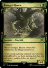 Product image for Huorn enragé