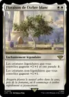 Product image for Floraison de l'Arbre blanc