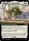 Product image for Floraison de l'Arbre blanc