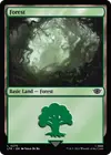 Product image for Forest