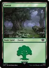 Product image for Forest