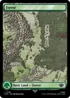 Product image for Forest