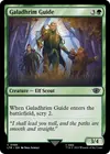 Product image for Galadhrim Guide
