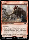 Product image for Olifant