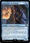 Product image for Survivante de Pelargir
