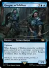 Product image for Rangers of Ithilien