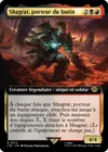 Product image for Shagrat, porteur du butin