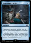 Product image for Remontrance sévère