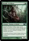 Product image for Druide éveilleur