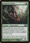 Product image for Awakener Druid